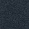 Night Blue